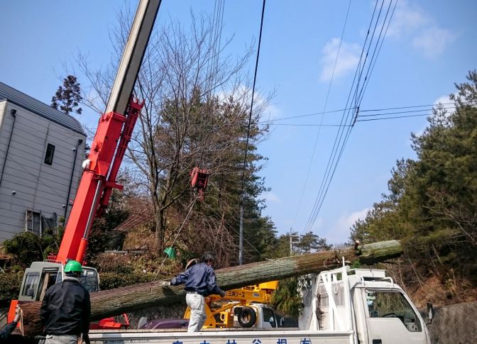 ICソケットの魅力と選び方：電子工作を楽しむためのガイド